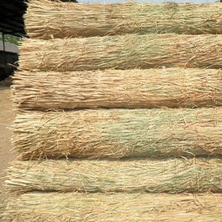 草簾子 ，草包 草繩上海地區(qū)降溫，雨雪天氣注意植物防寒抗凍，