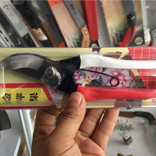 金蘋果手剪 ，整枝剪