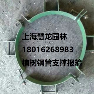 大樹報(bào)箍，植樹支撐報(bào)箍，鋼支撐報(bào)箍