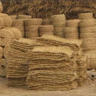 上海綠化草繩草包批發(fā)零售，土球繩，繞樹(shù)繩